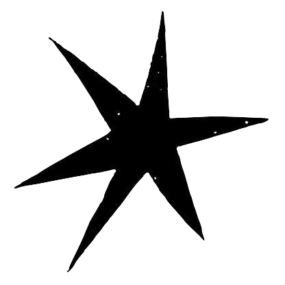 Black starfish with five arms, each with small white spots, against a white background.