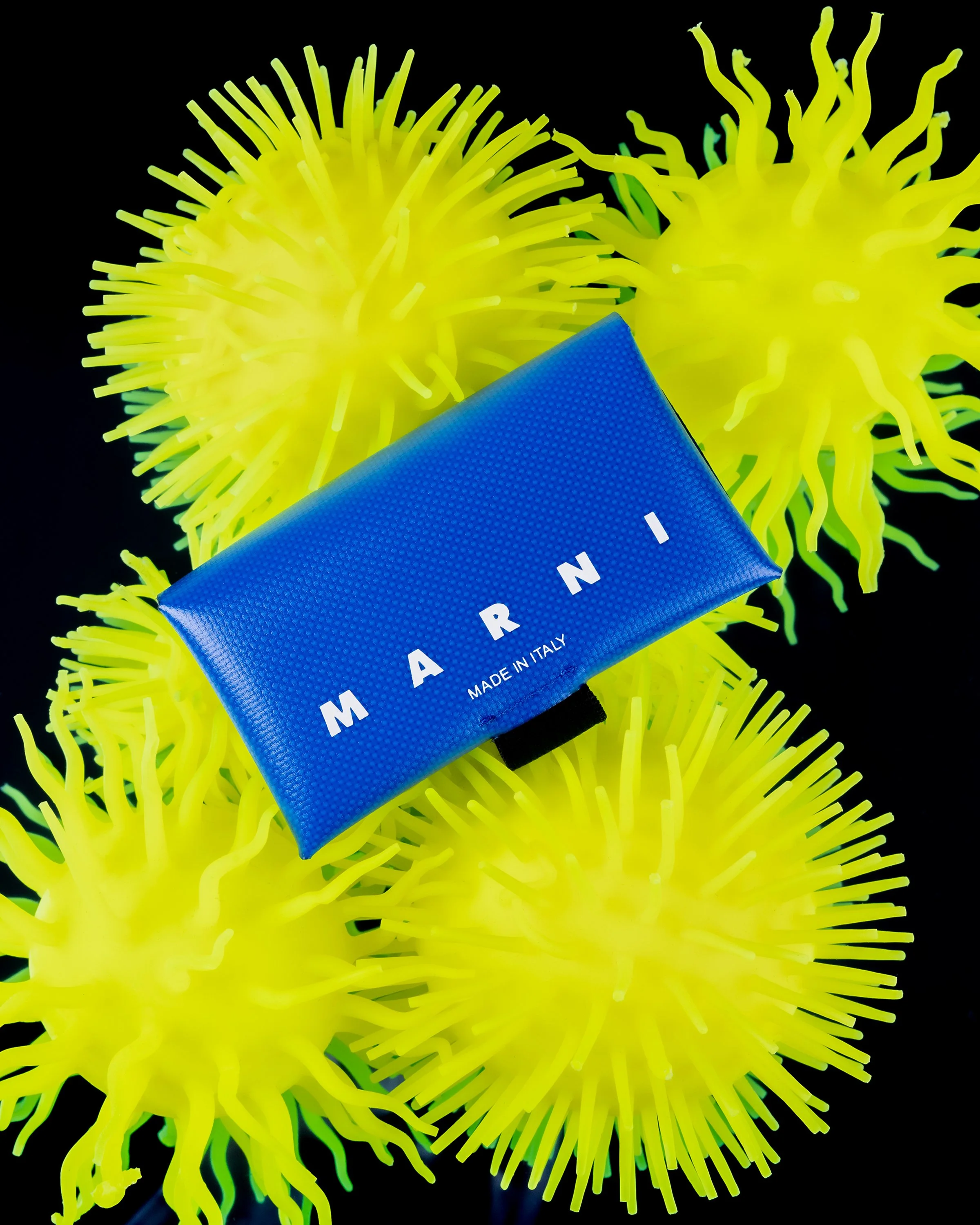 StillLife_perso_marni.jpg