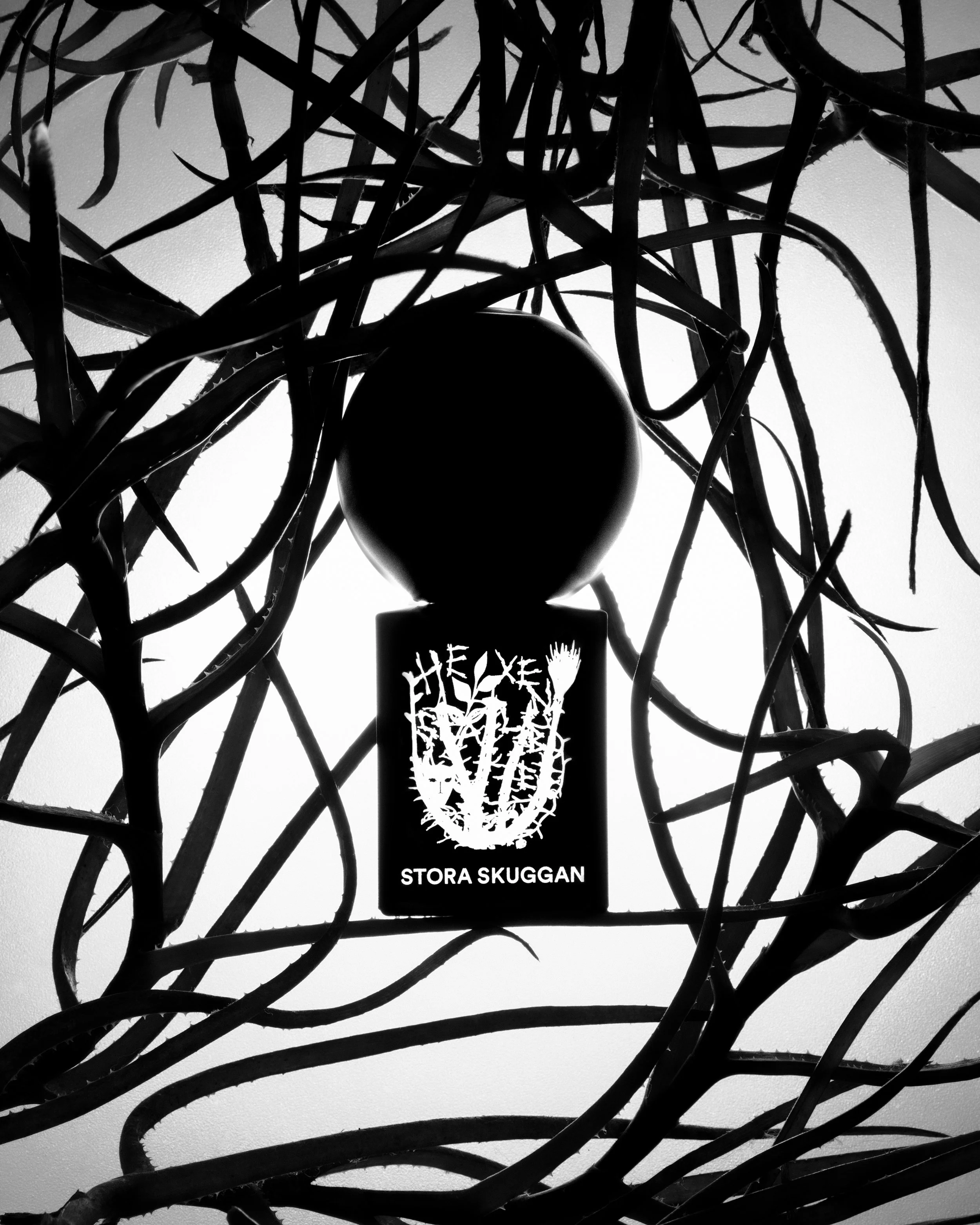 Silhouette of a black sphere and a book with the title 'Helve' and author 'Stora Skuggan' surrounded by tangled twigs against a bright background.