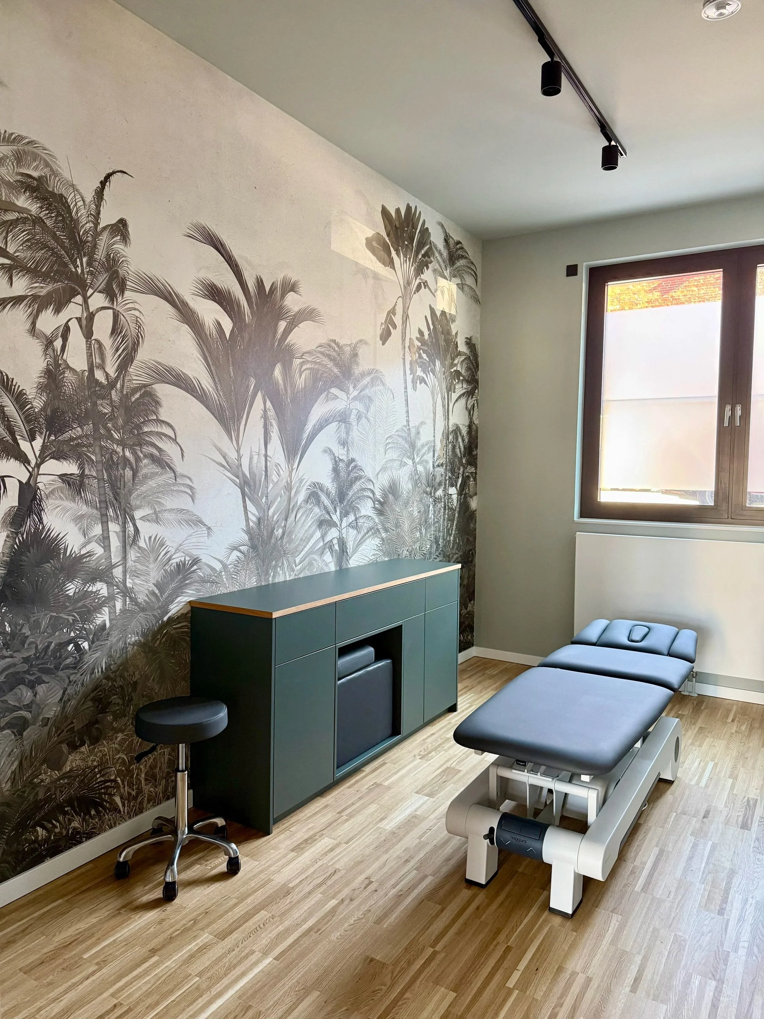 Behandlungsraum mit Naggura Therapieliege, hochwertiges Lagerungsmaterial wie Knierolle und Positurkissen. Wandfarbe Little Green Pearl Colour Dark im Boutique Optik