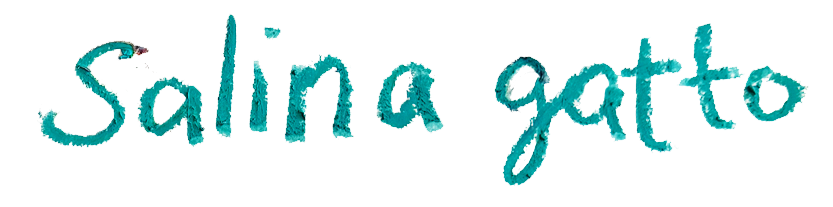 Salina Gatto Art