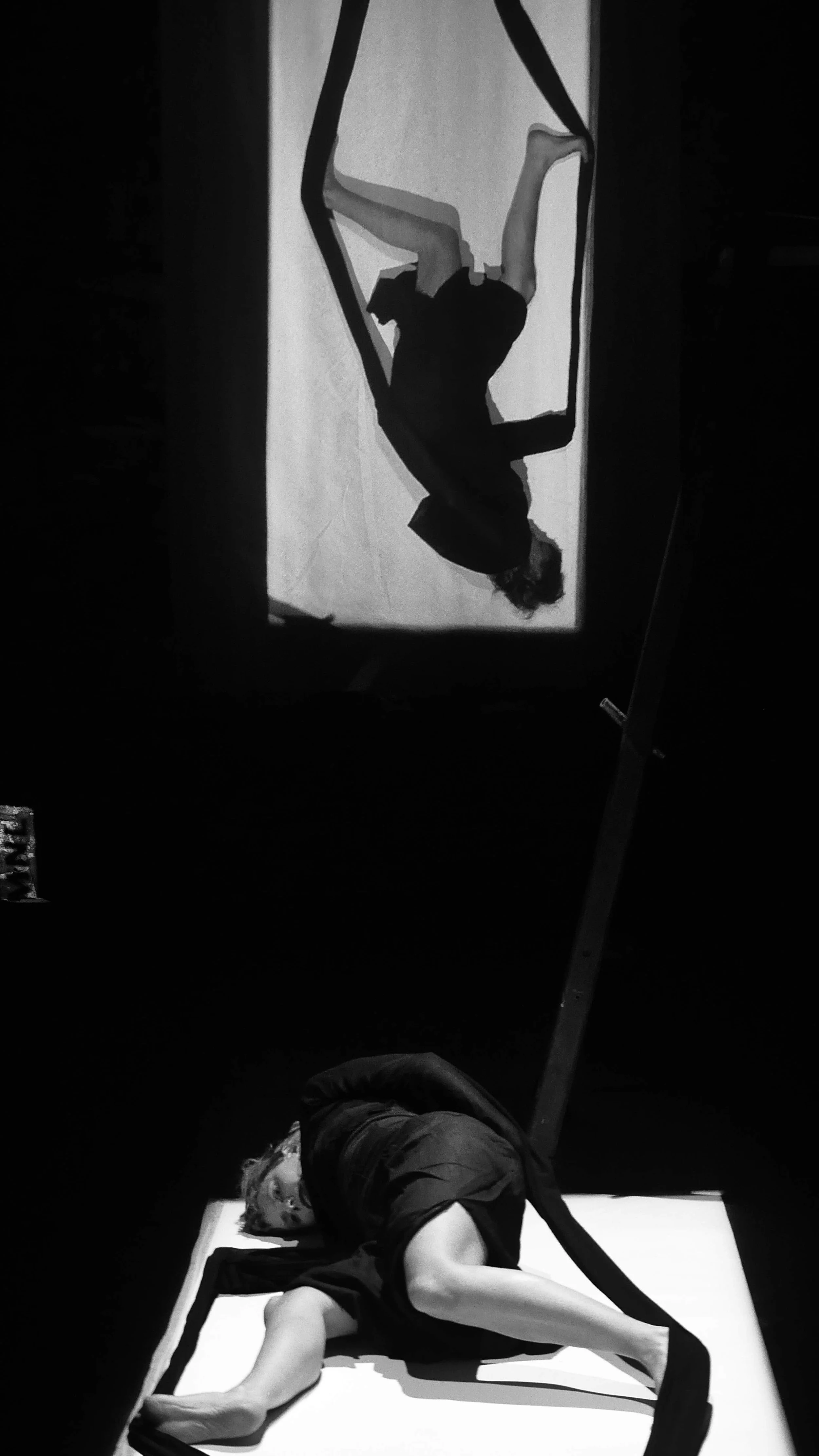 P1310826.jpg