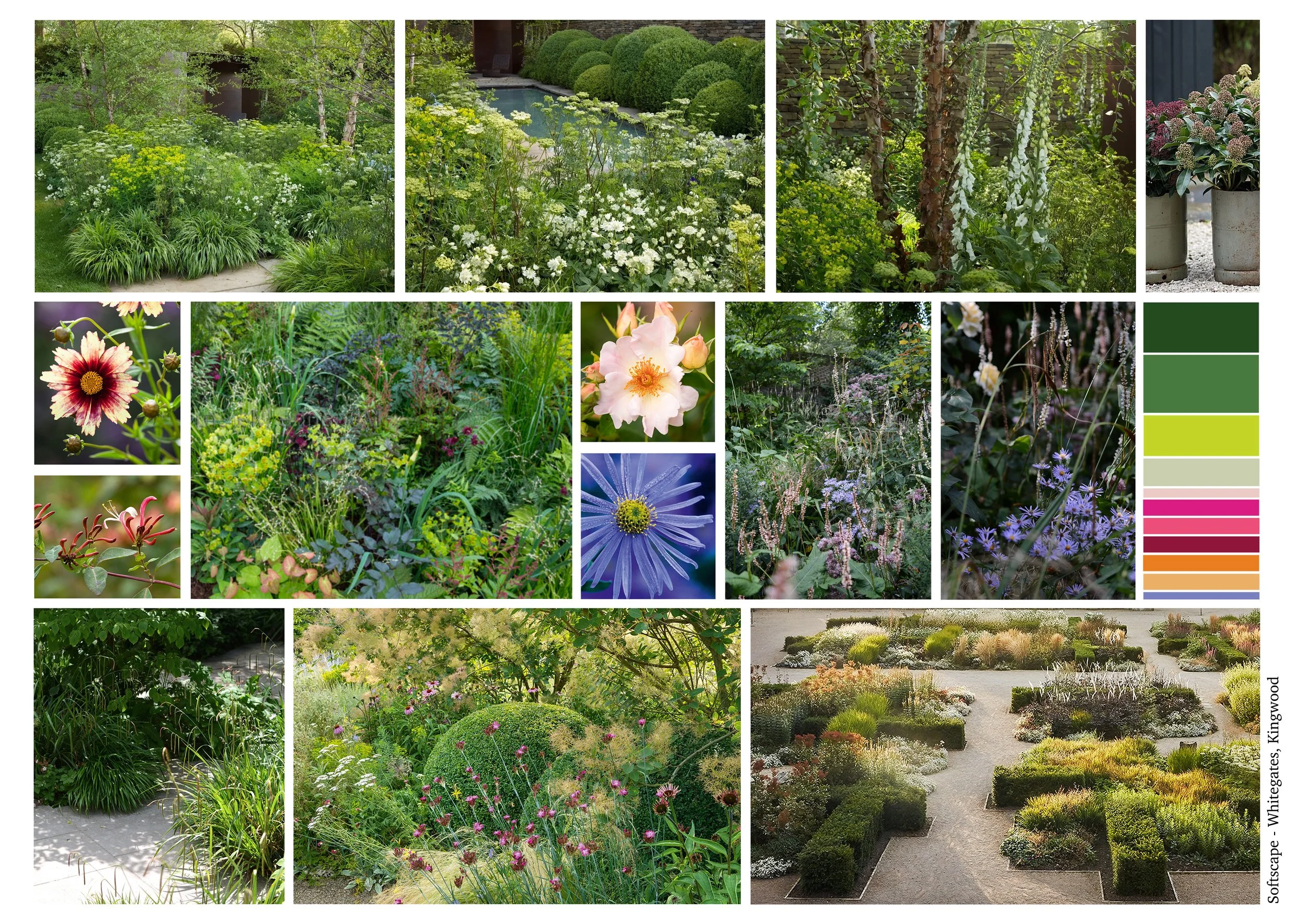 12. P2 Soft Landscaping 2.jpg