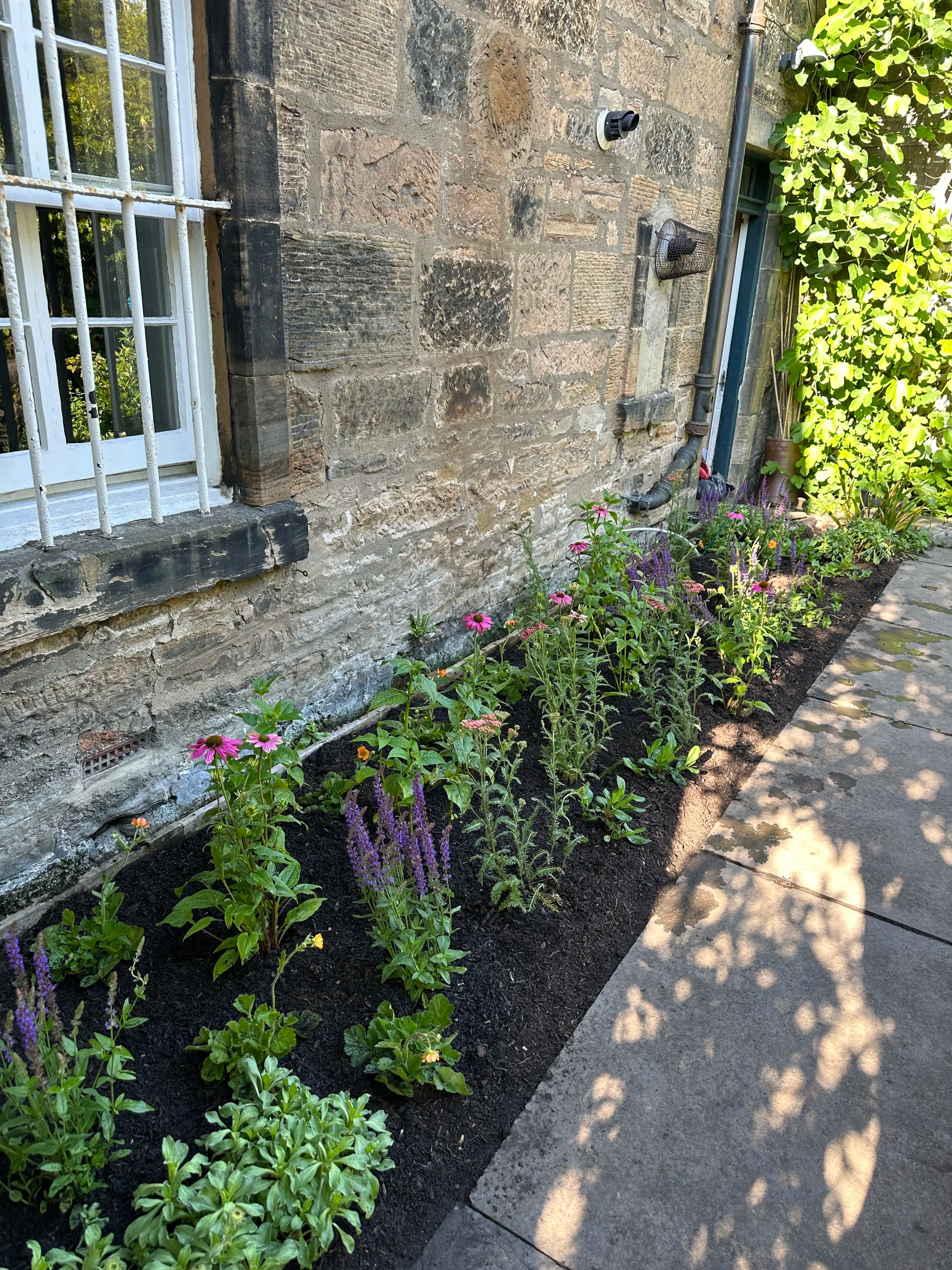 IRREGULAR GARDEN