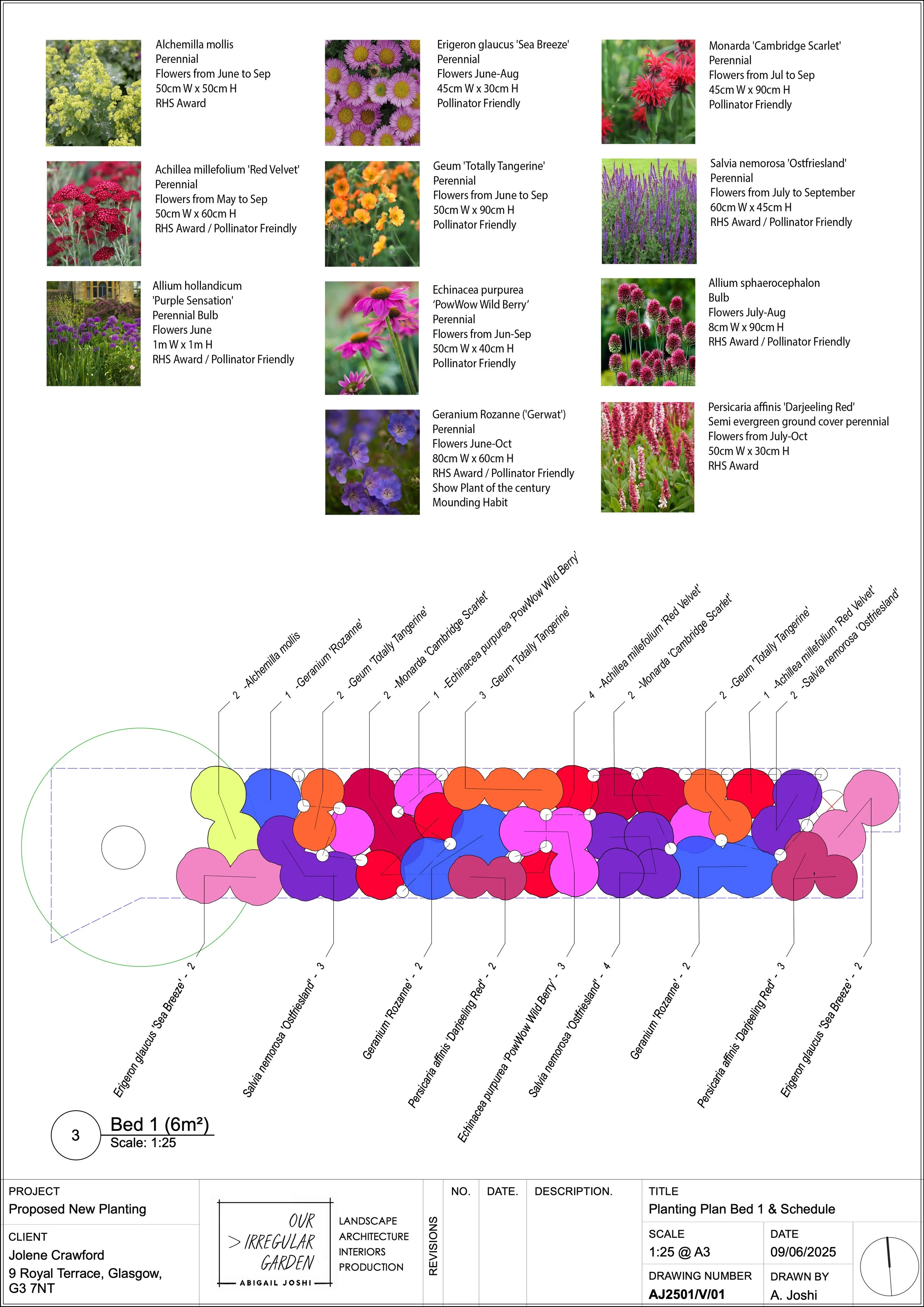 Jolene Planting 1.5.jpg