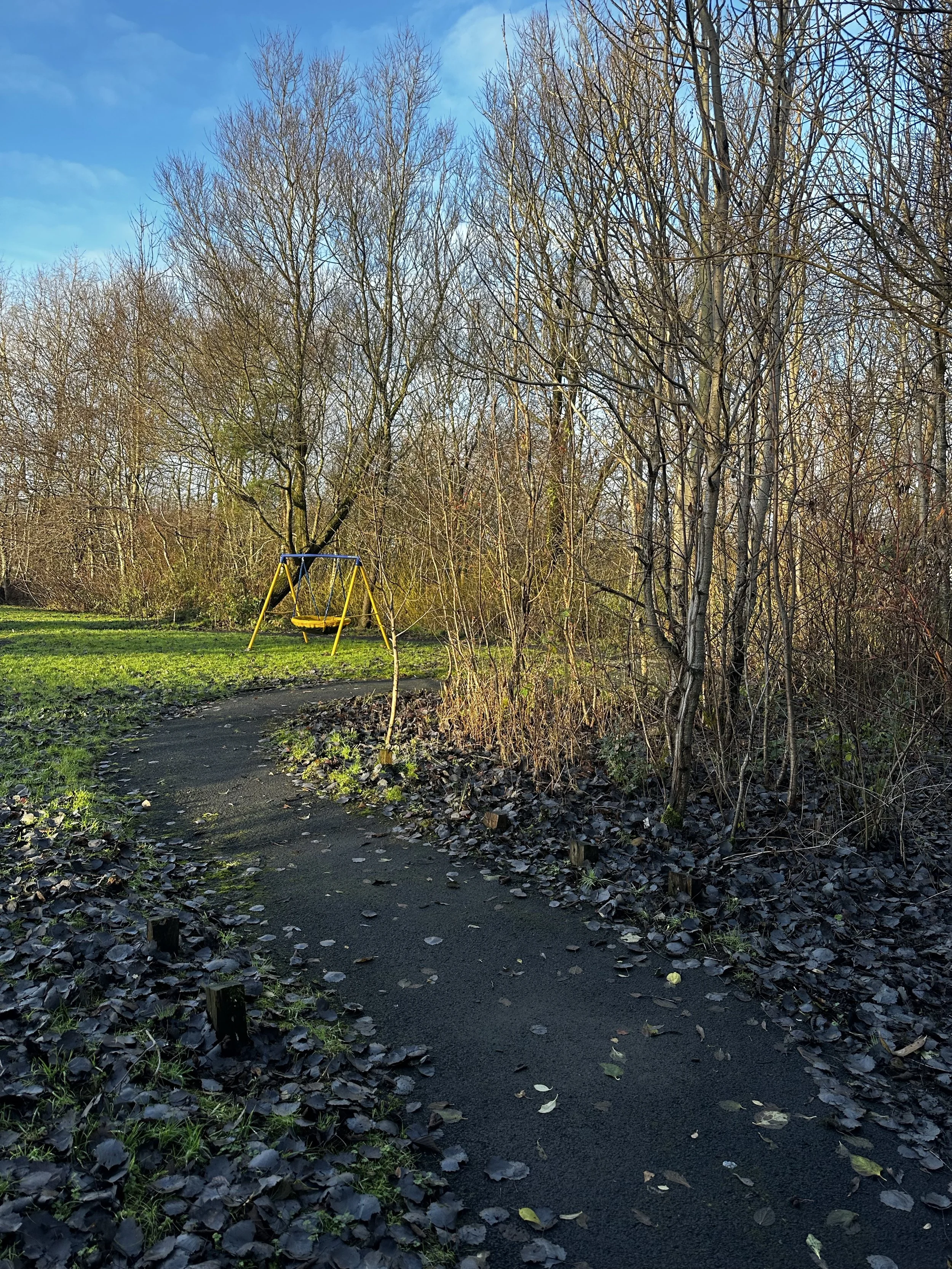 CARERS COMMUNITY GARDEN