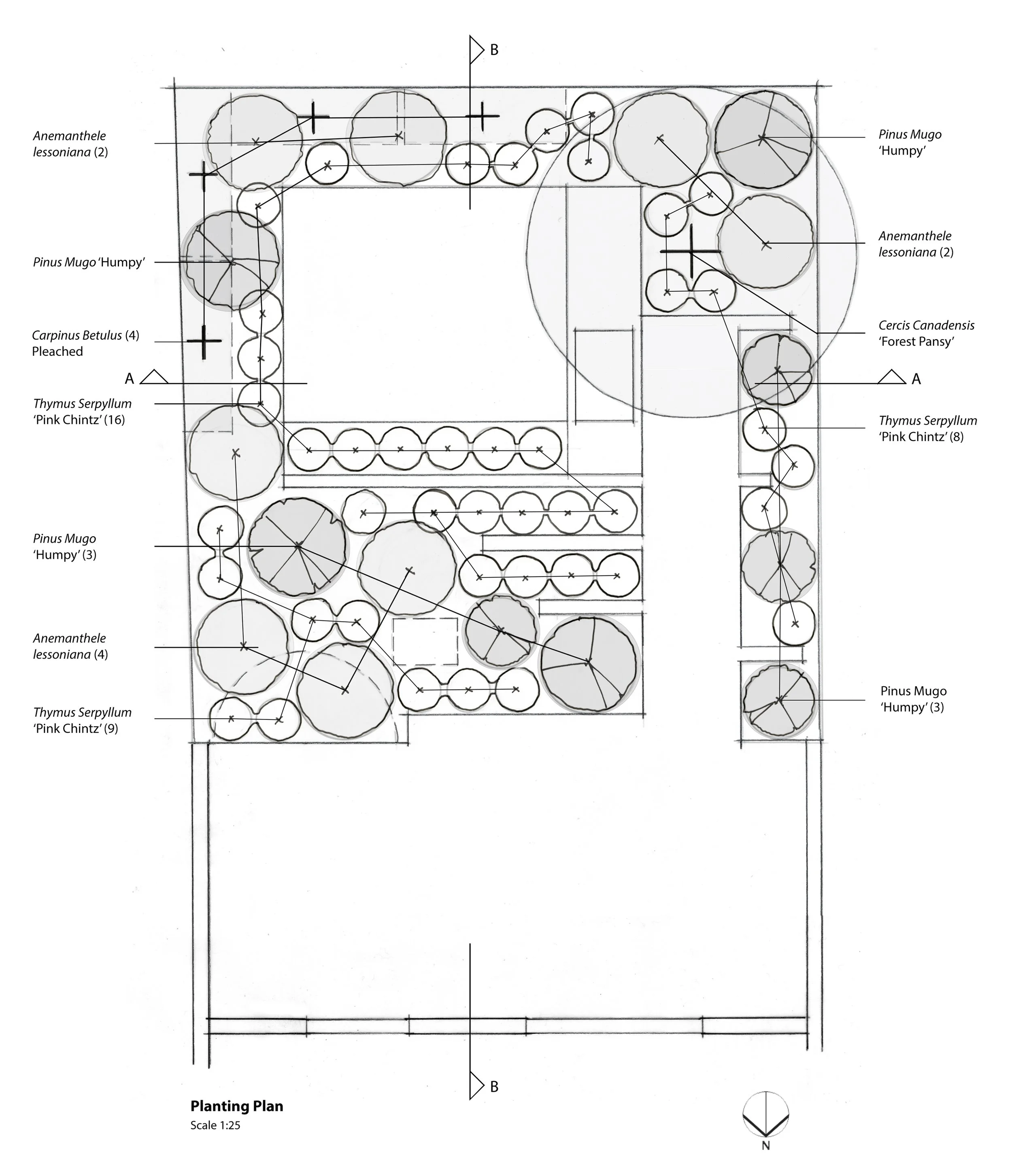 planting plan.jpg