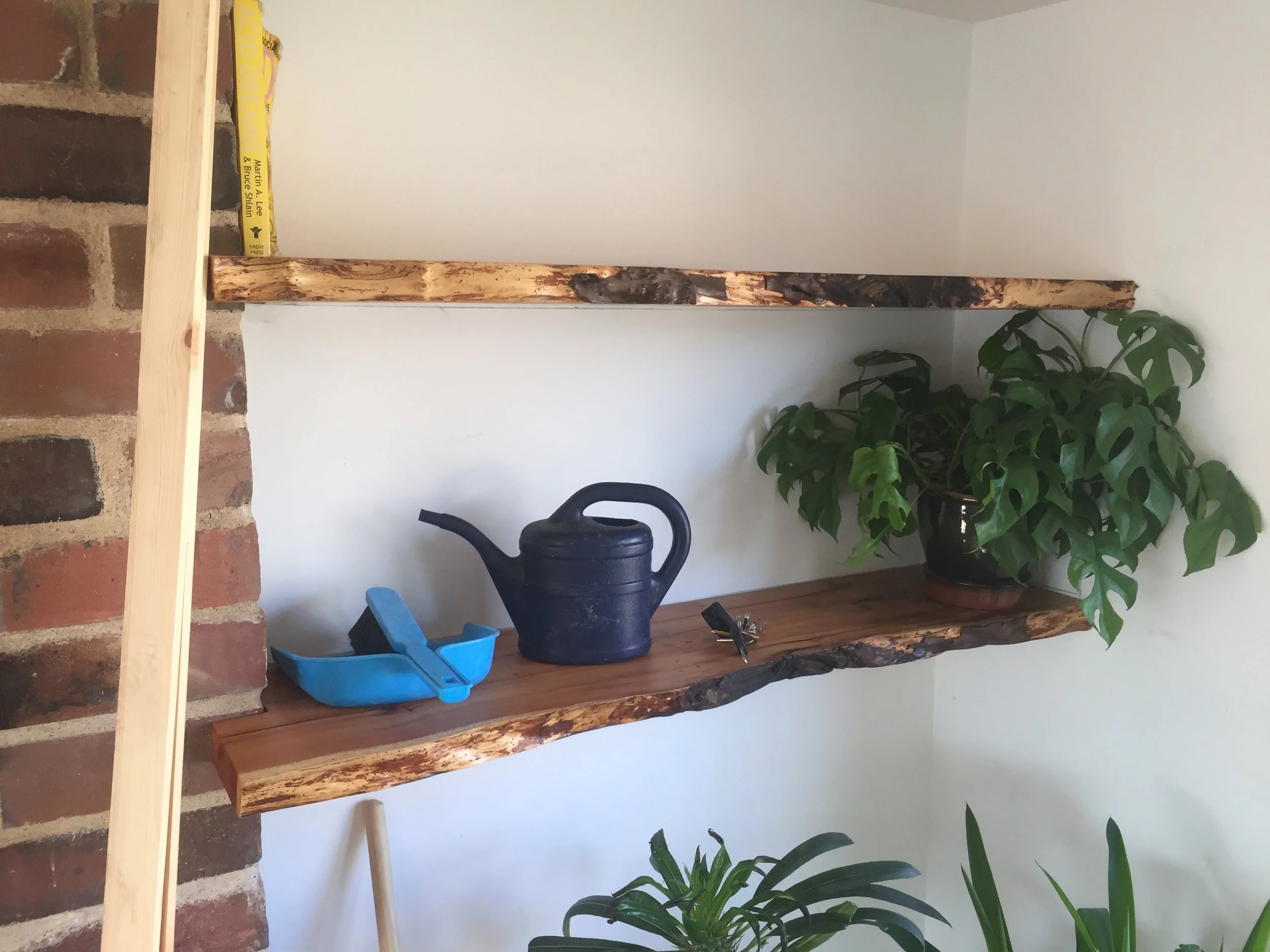 Live-edge shelving