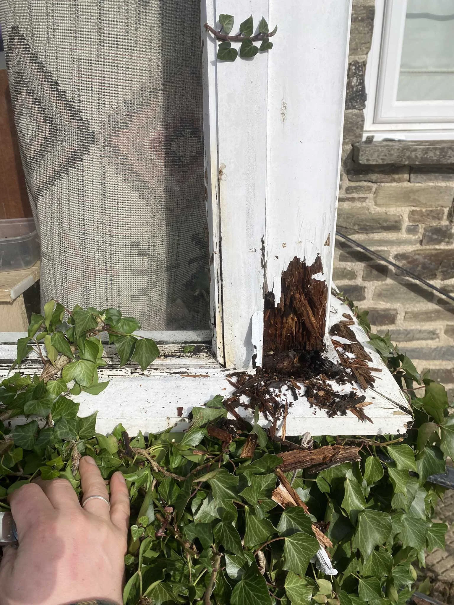 Rotten column