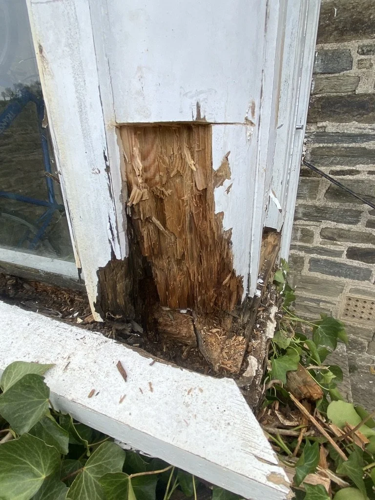 Rotten column