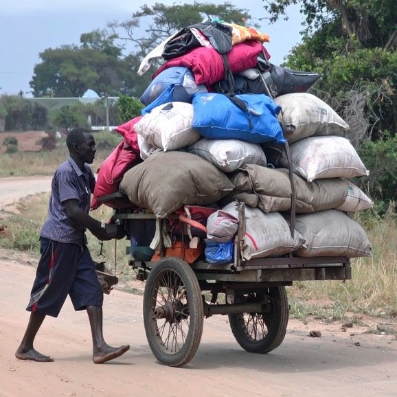man pushing cart stacked full of bags