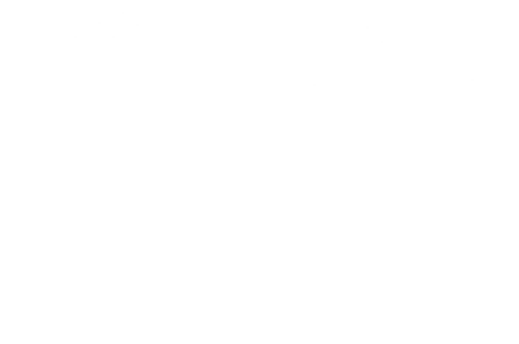 OFFICIAL SELECTION - BronzeLens Film Festival - Skylark The Film
