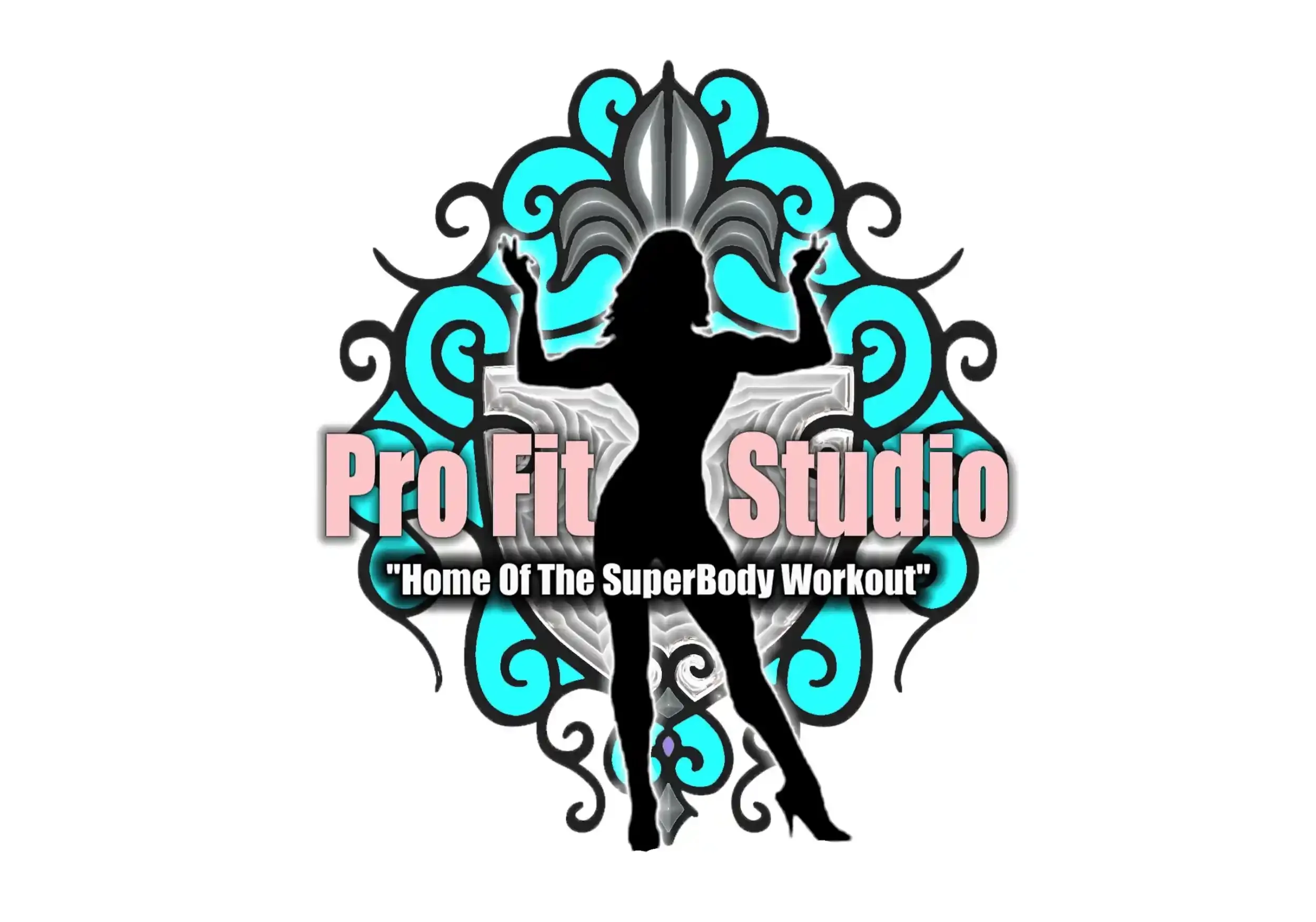 skylark-partner-logos-61-pro-fit-studio.webp
