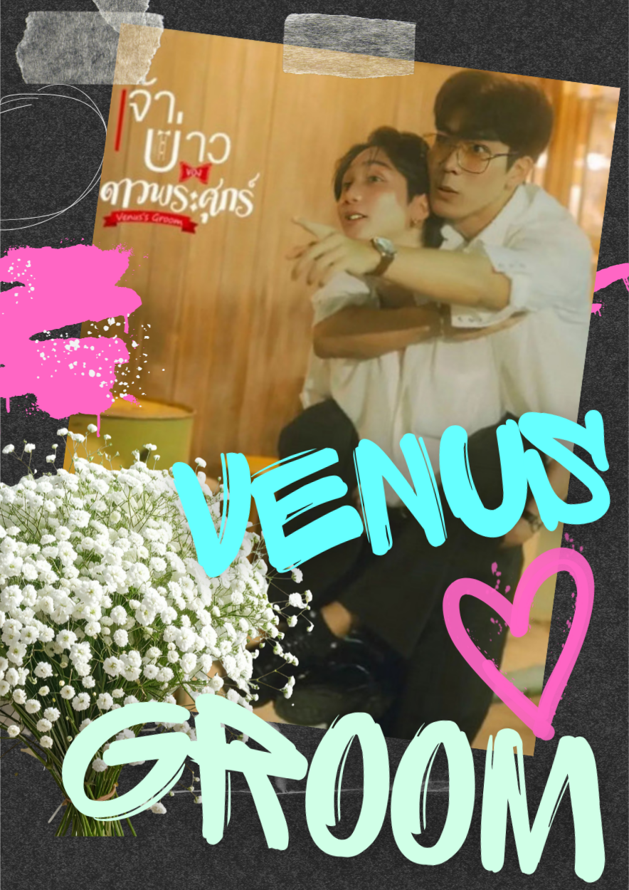 Venus Groom