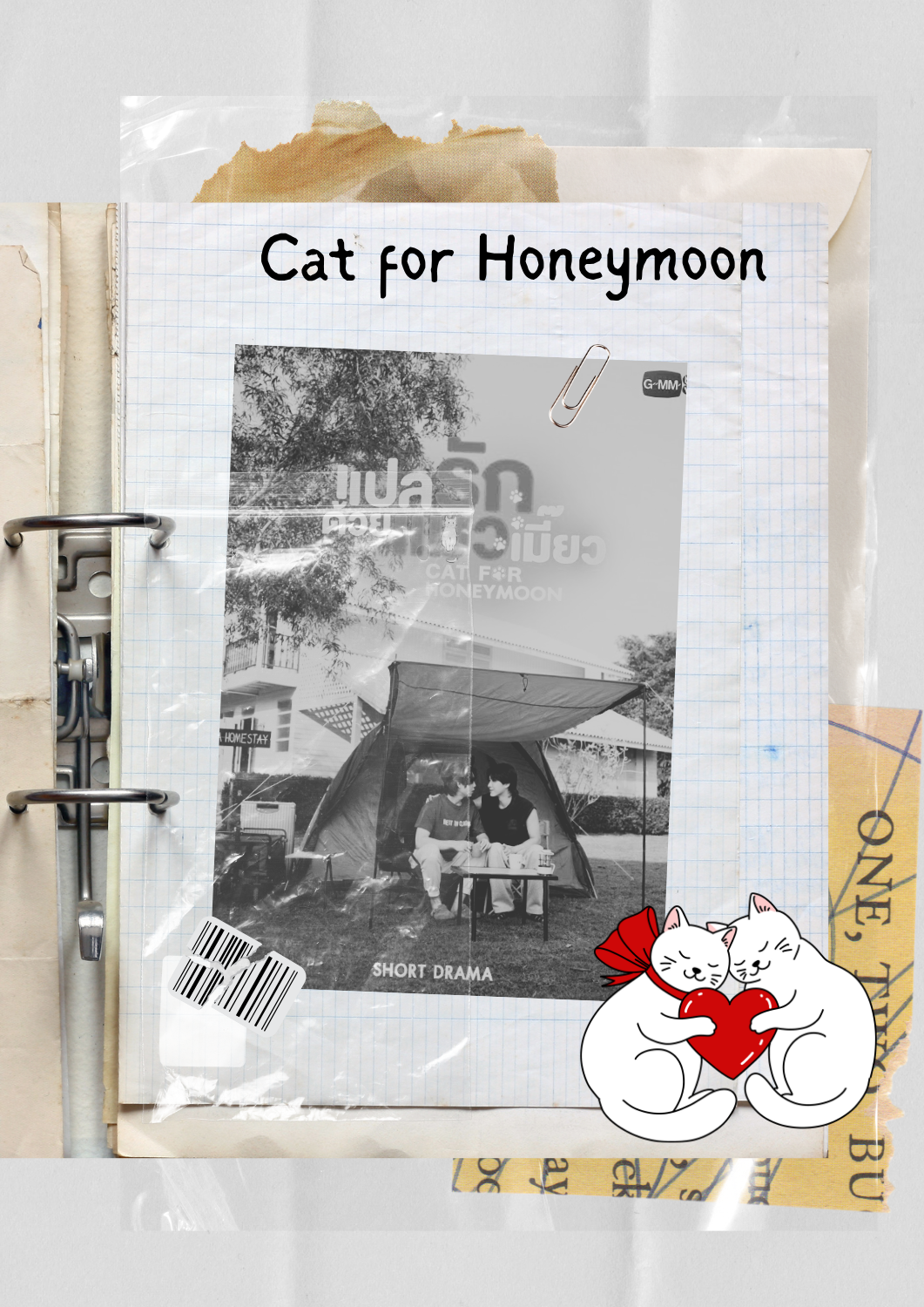 Cat for Honeymoon