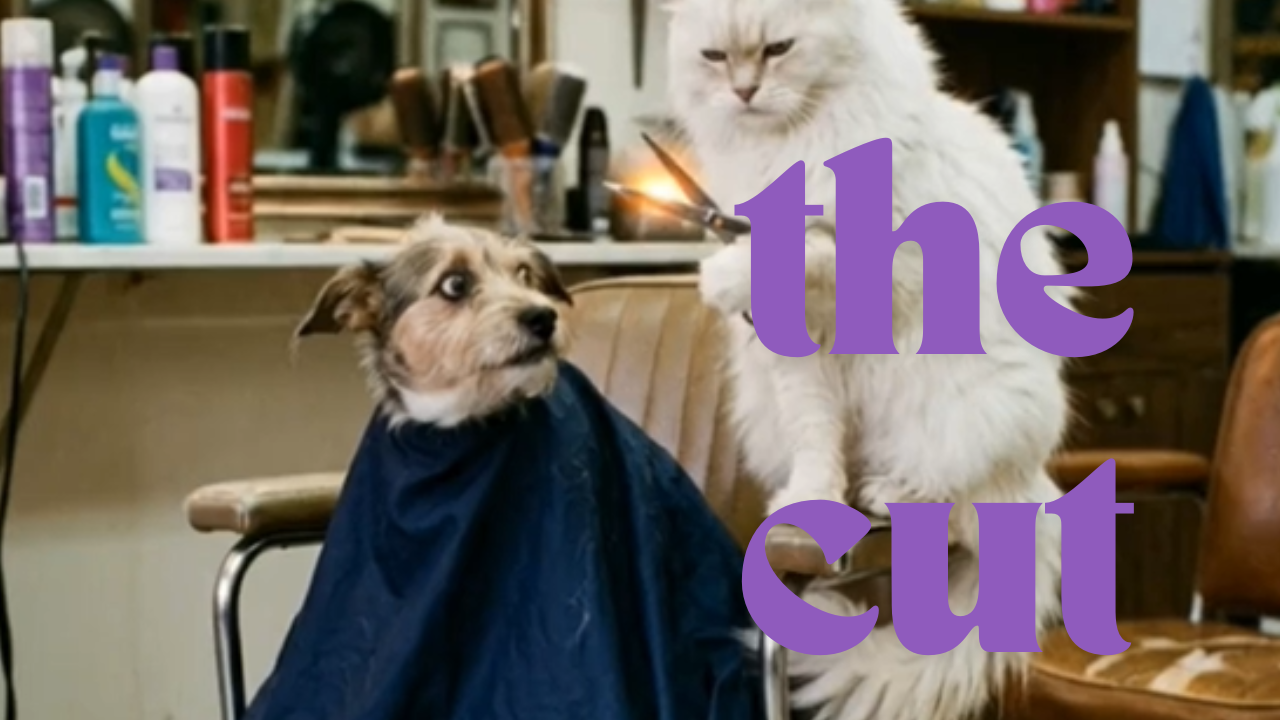 Related Video Item Thumbnail