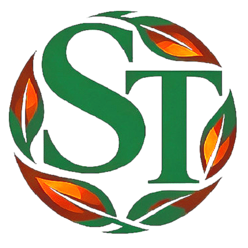 SHEKINAH TECHNOLOGIES LTD