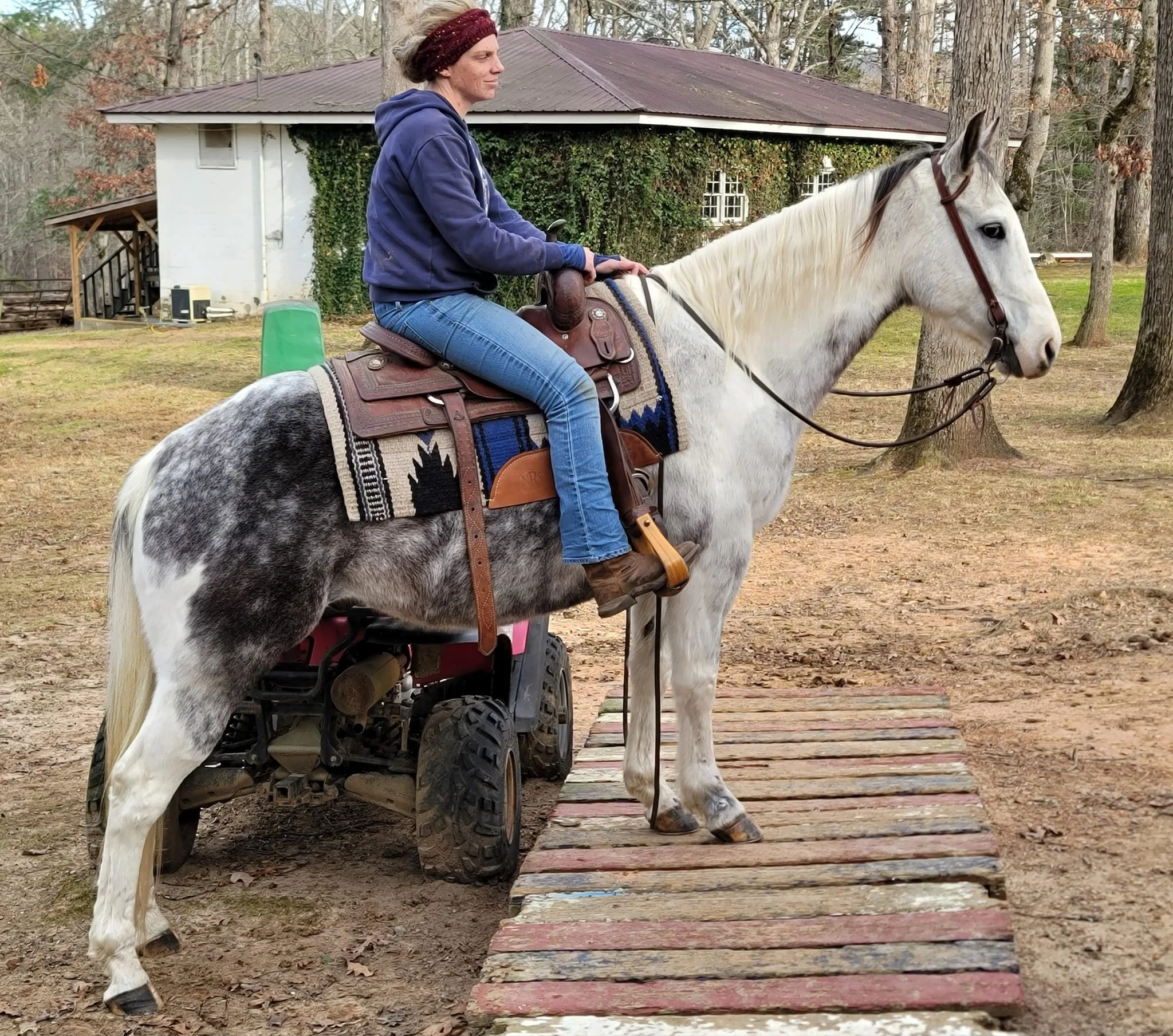 New Additions to the Farm