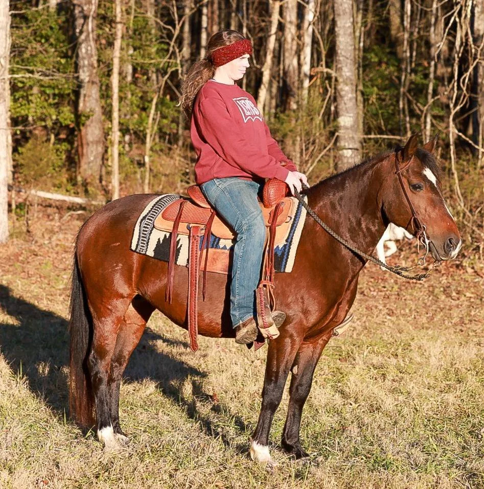 How to Find Your First Trail Horse in Jacksonville, Florida