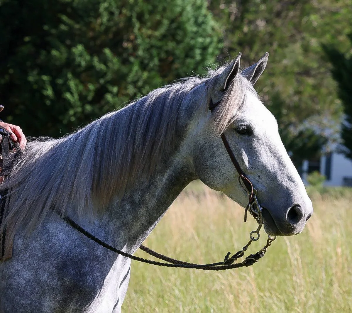 Introducing… Casper! 