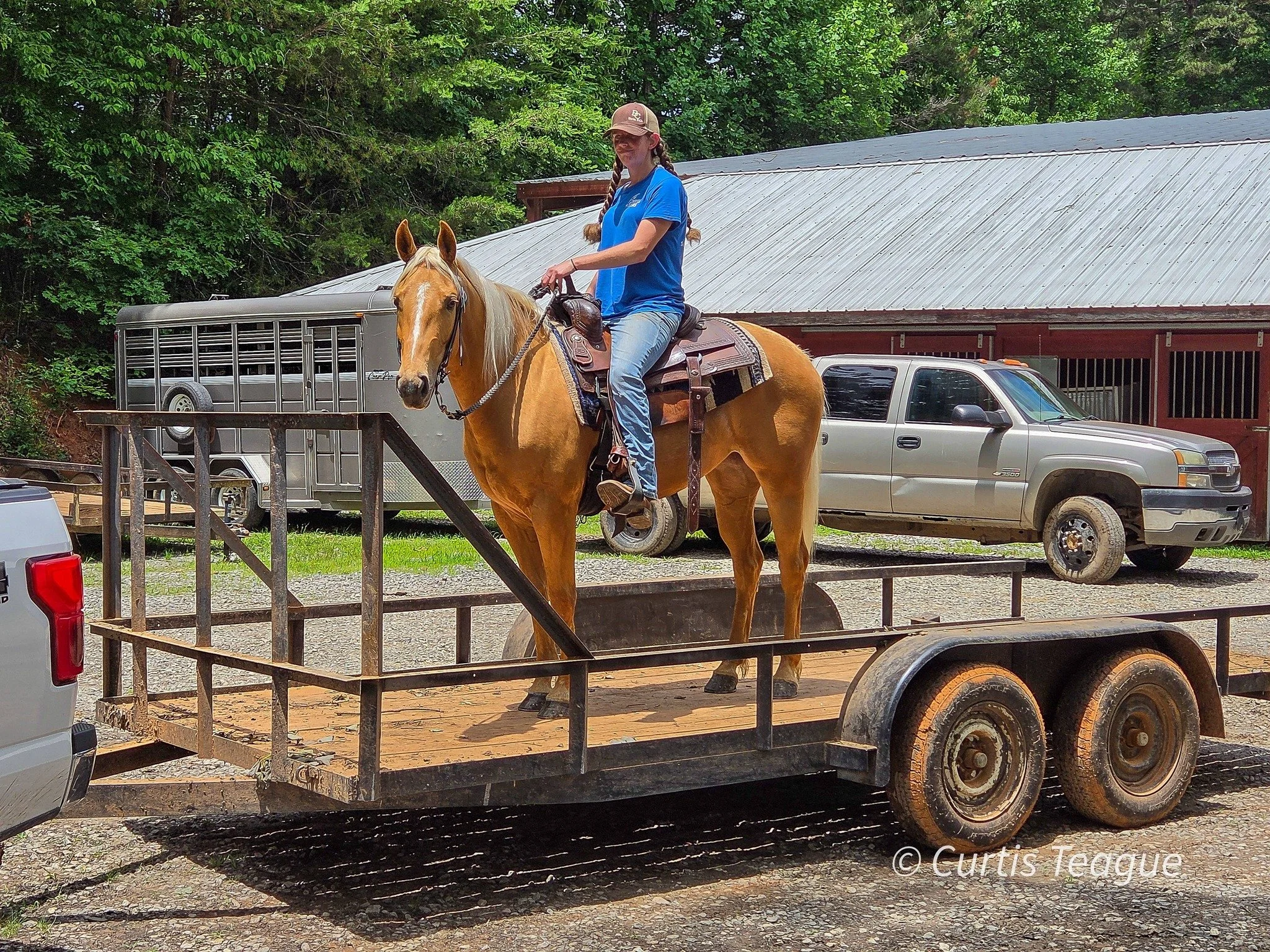 Why Florida Riders Are Buying Their Horses From North Georgia