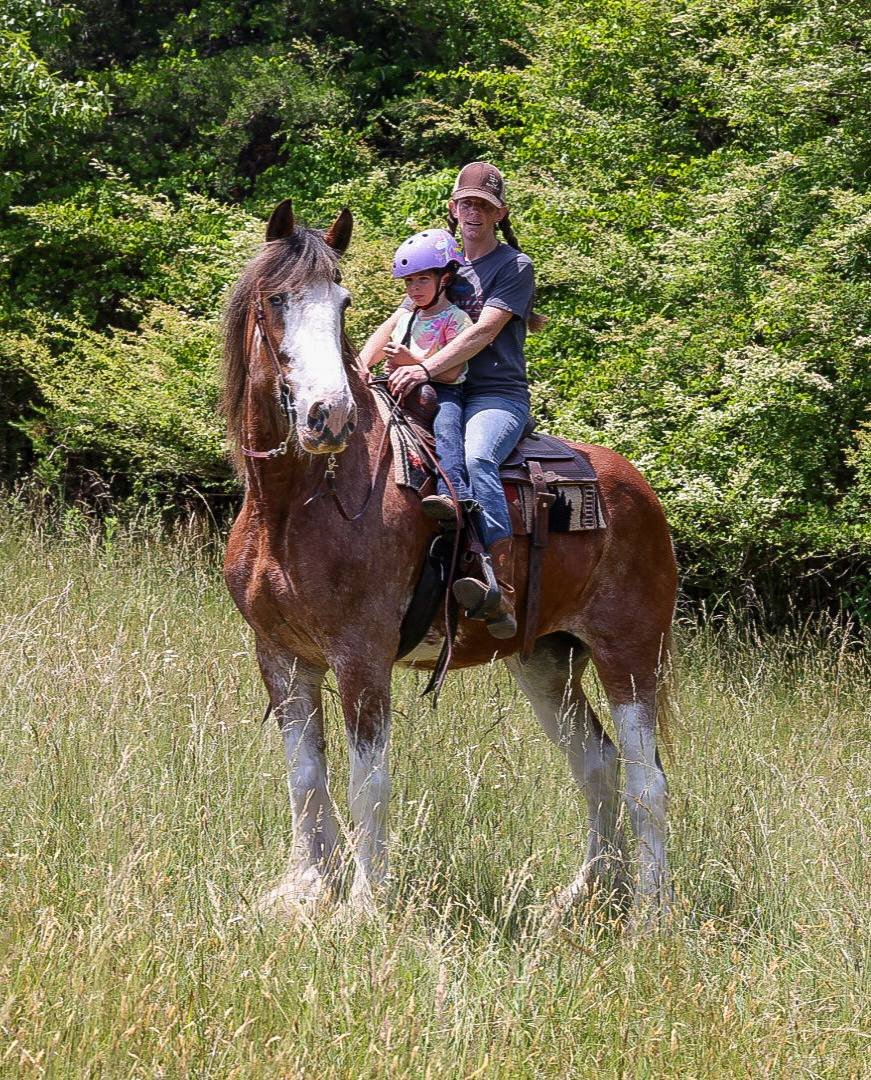 Mother and young daughter riding a gentle sorrel draft-cross horse at A Step Above Stables in Blairsville, GA
