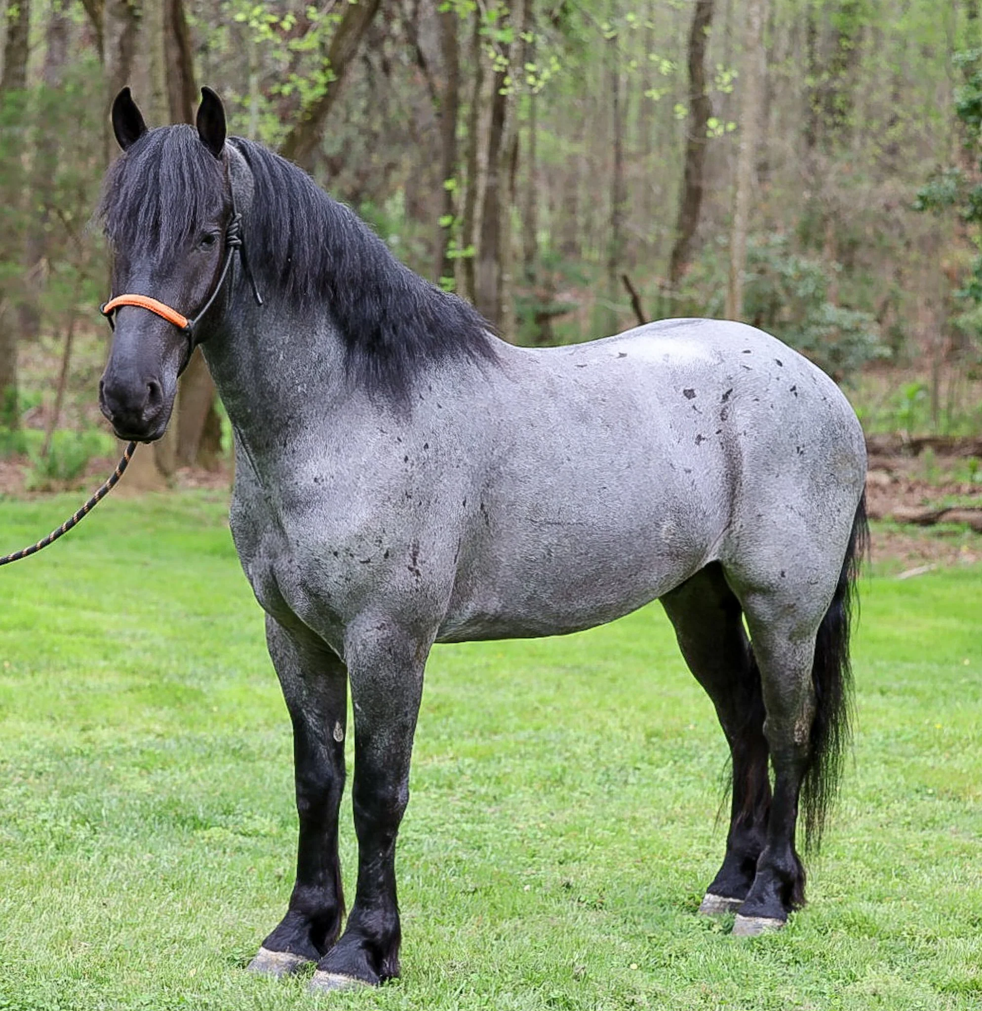 Shared from Lightroom mobile(8).jpg