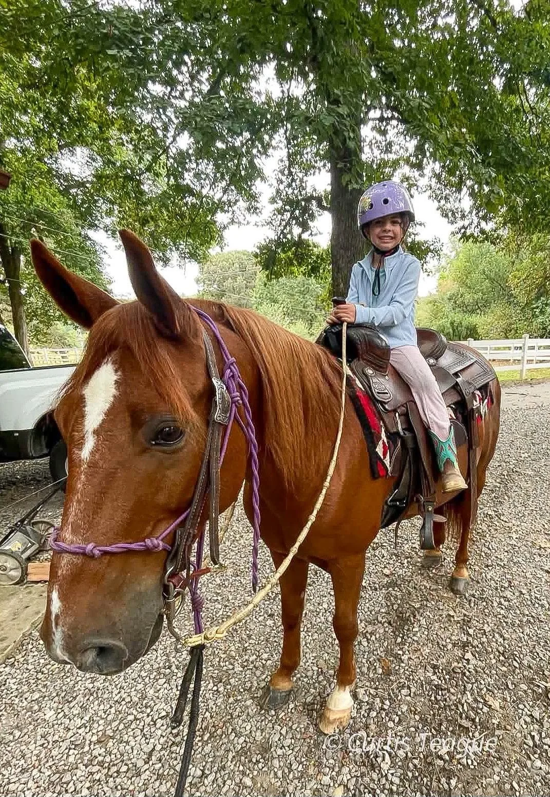 Smiling young girl in a riding helmet sitting on a gentle chestnut horse at A Step Above Stables