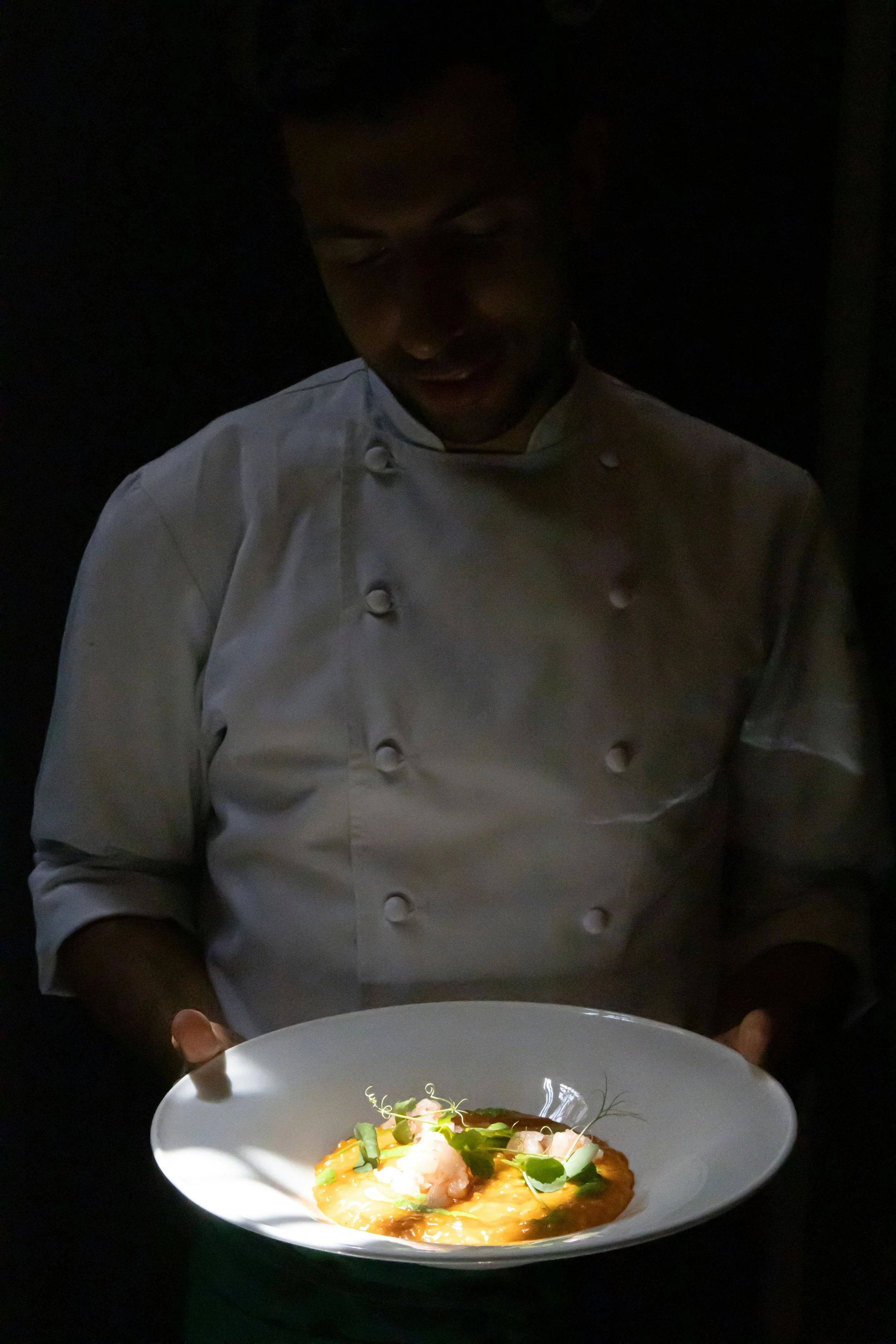 Chef holding a white plate with a gourmet dish garnished with herbs, illuminated against a dark background.