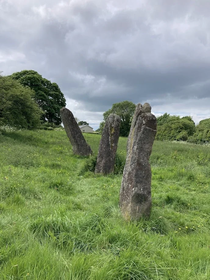 Four large standing stones aligned in a grassy field with trees and a cloudy sky in the background.