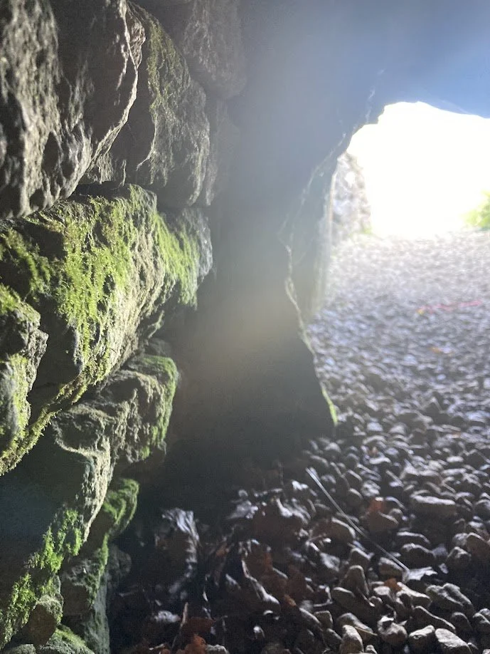 View from inside a cave looking out to bright daylight with moss-covered rocks and pebbles at the entrance.
