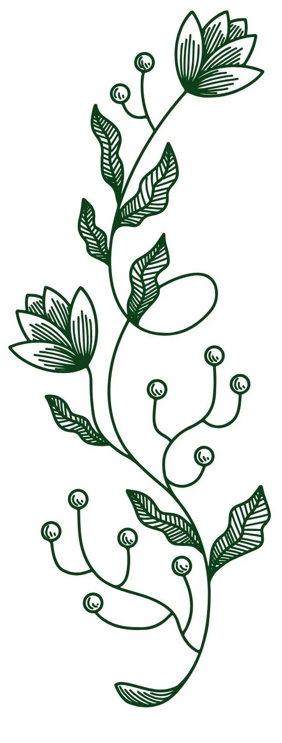 Green line art illustration of a floral plant with leaves and small round berry-like buds.