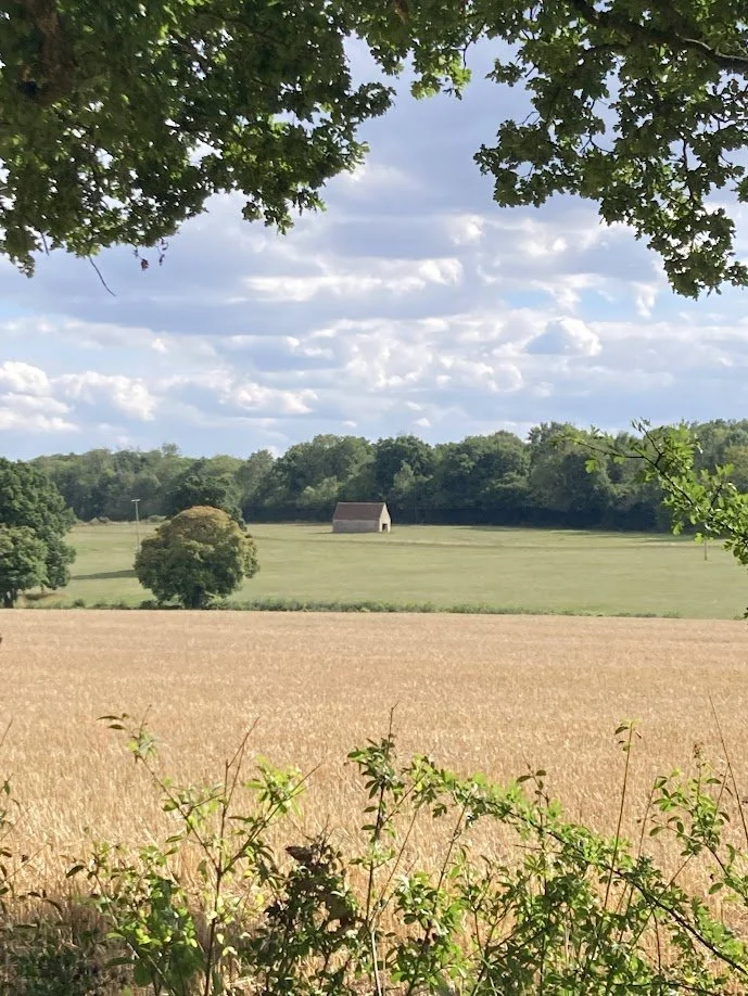 A rural landscape with a golden field in the foreground, a few trees, a small barn, green fields, trees in the background, and a blue sky with scattered clouds framed by tree branches.