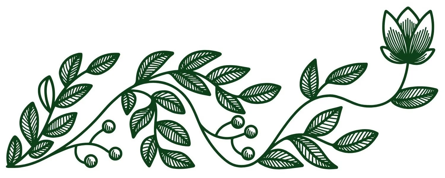 Green line drawing of a leafy vine with small berries and a large flower at the end.