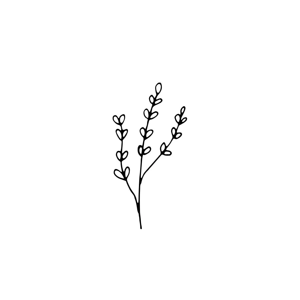 Line drawing of a sprig with small leaves.