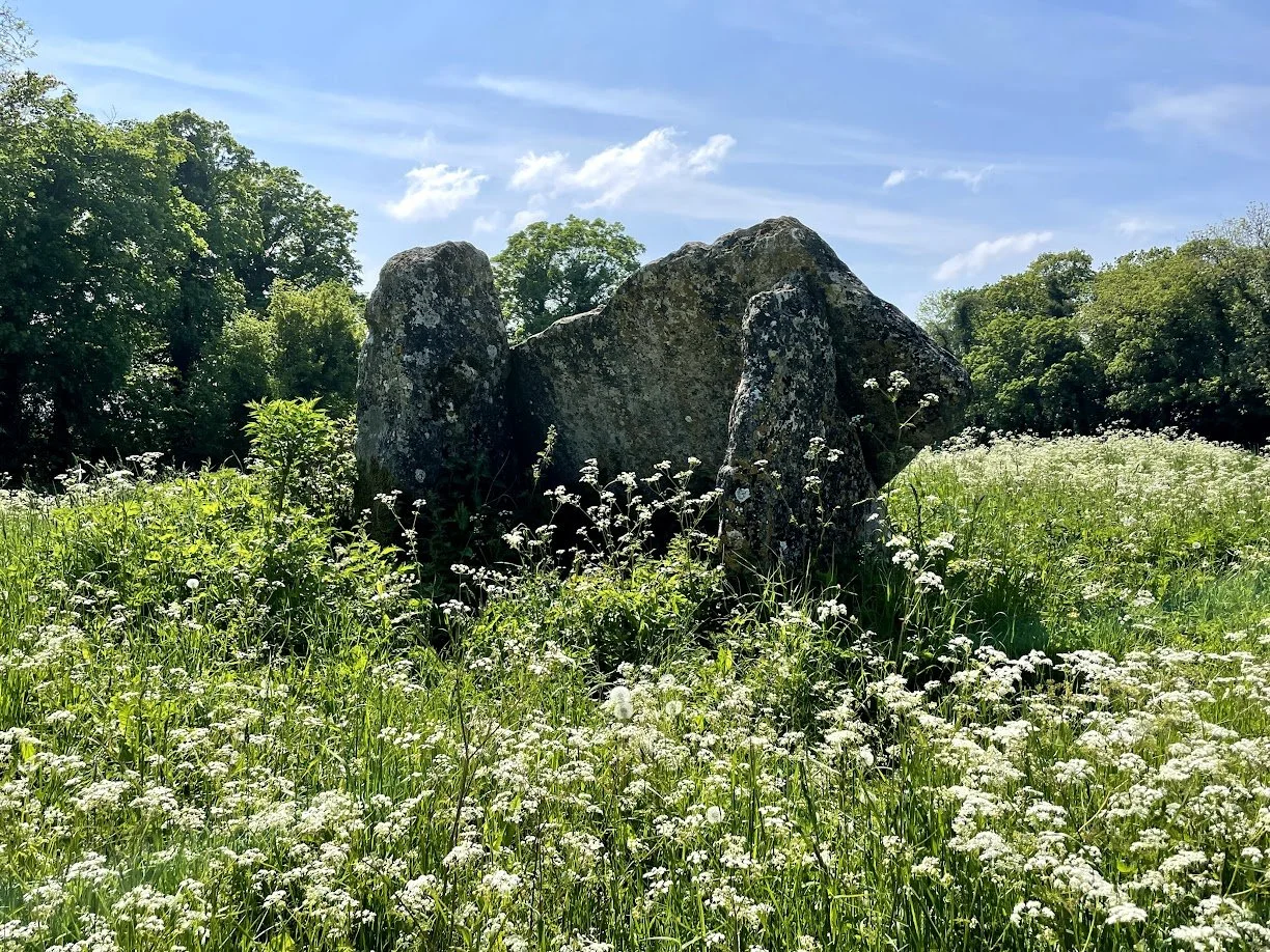 Large moss-covered rocks in a grassy field with white wildflowers, surrounded by green trees under a blue sky.