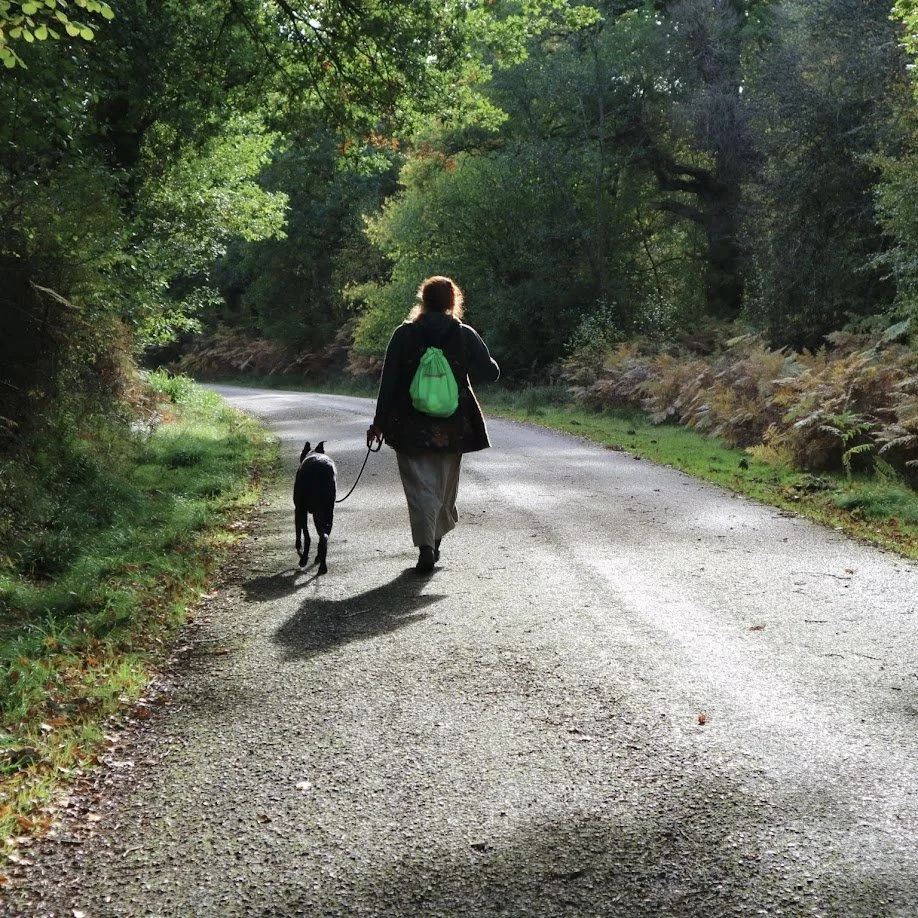 A woman walking a dog in a lush, green forest on a winding dirt path.
