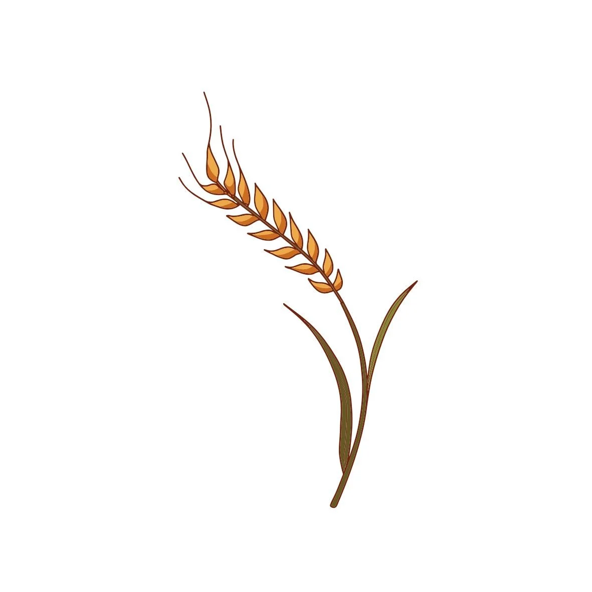 Illustration of a wheat stalk with golden grains and green leaves.
