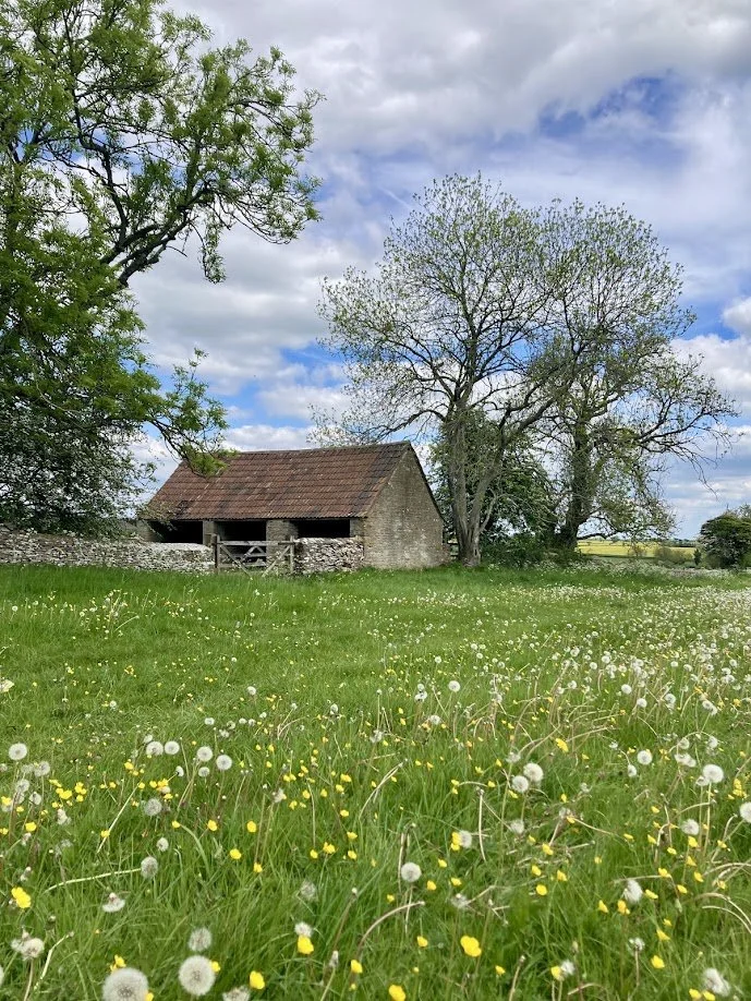 A rustic barn with a red roof and stone walls in a green meadow with yellow and white flowers, trees, and a partly cloudy sky.