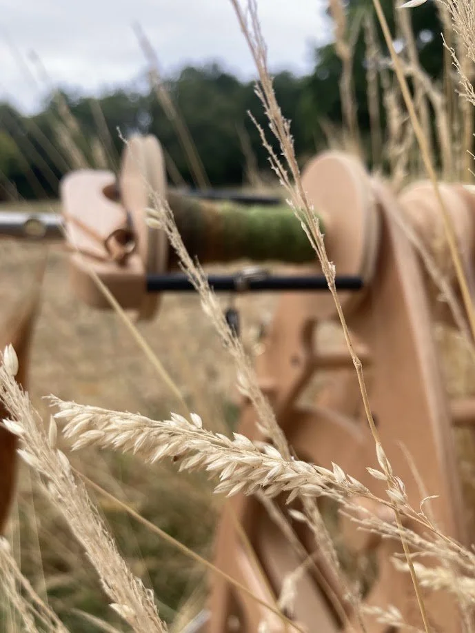 Close-up of dried grass in the foreground with a blurred view of a wooden bench and a log in the background at an outdoor setting.