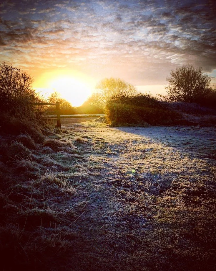 Sunrise over a frosty rural landscape with a dirt path, bushes, and trees under a partly cloudy sky.