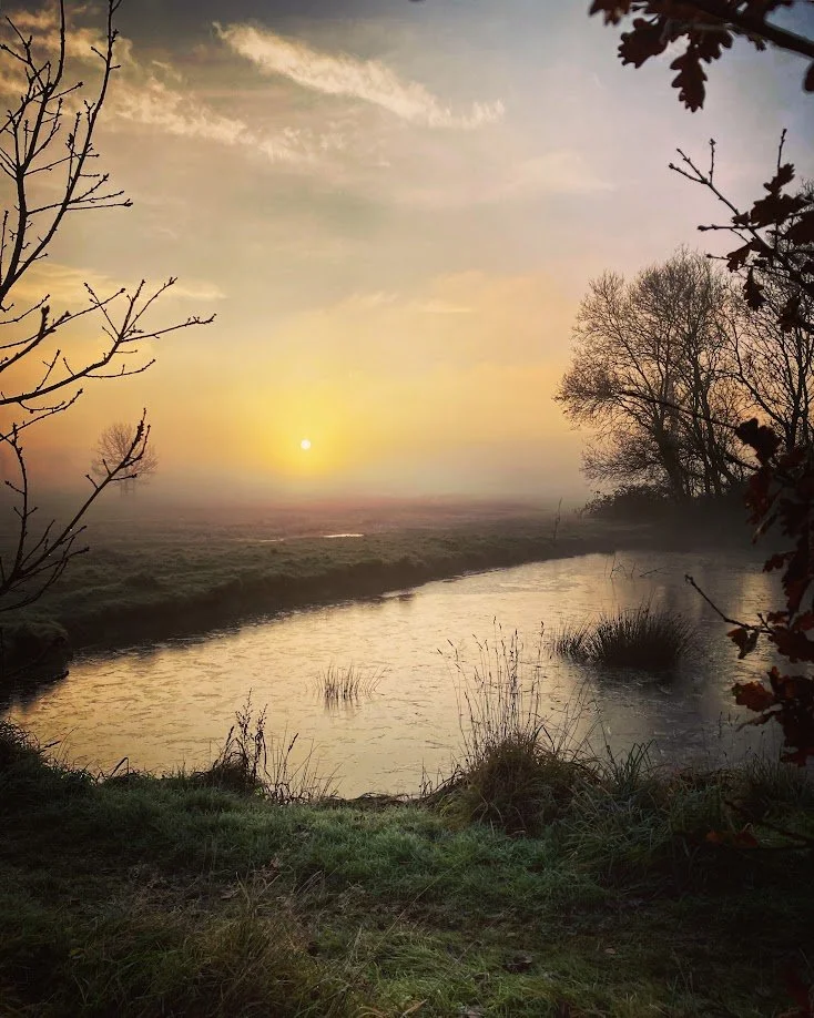 A peaceful evening or morning scene of a small river or pond with calm water, surrounded by grass, shrubs, and leafless trees, under a partly cloudy sky with the sun near the horizon.