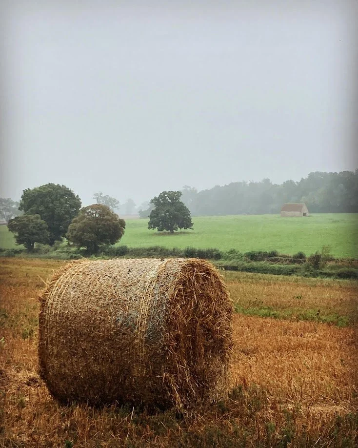 A large hay bale in an open field with trees and a small building in the background on a foggy day.