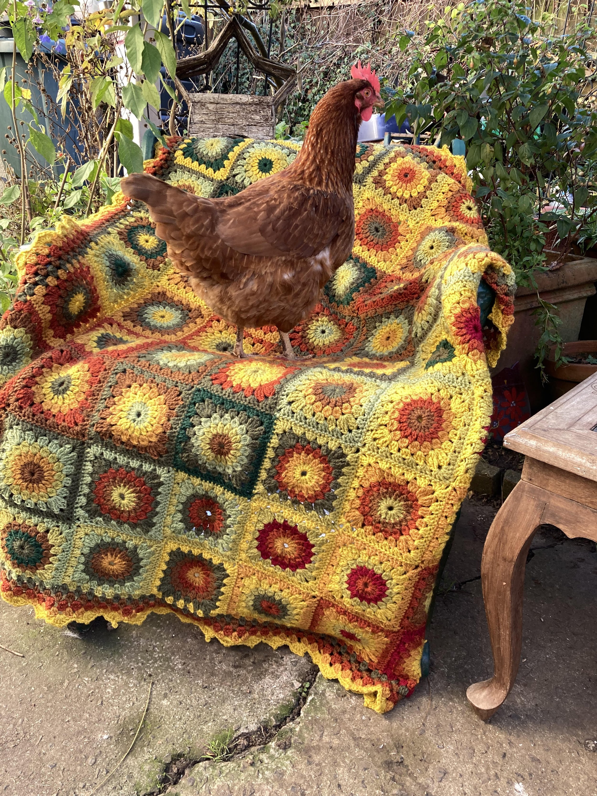 foreverblanket18jpg.jpg