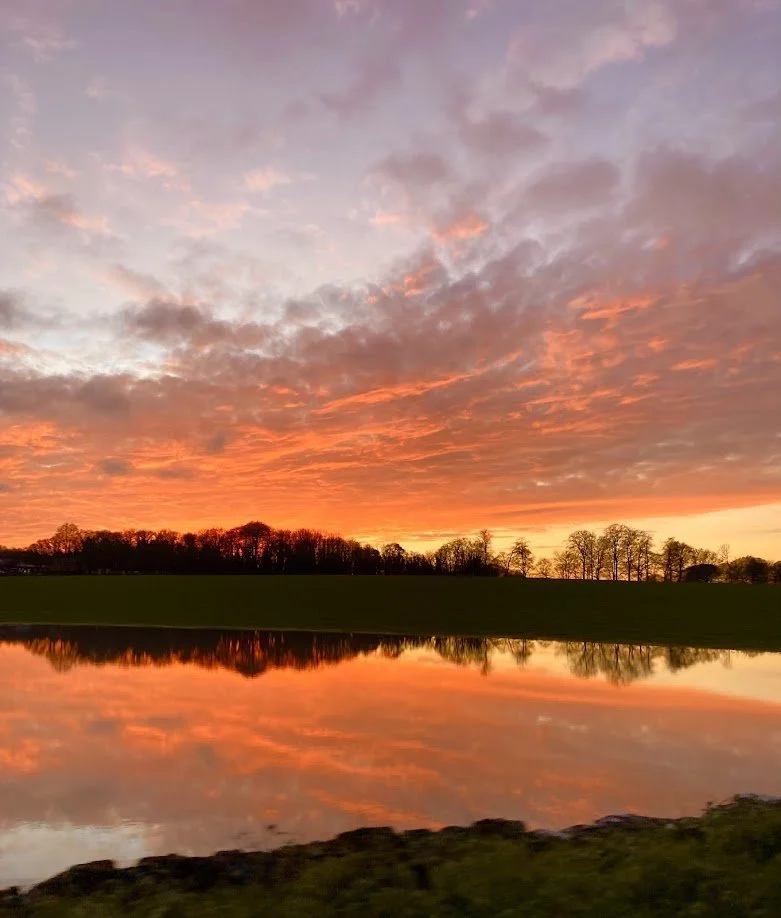 Sunset over a lake with colorful orange and pink clouds, reflected in the calm water, with silhouettes of trees and a grassy shoreline.