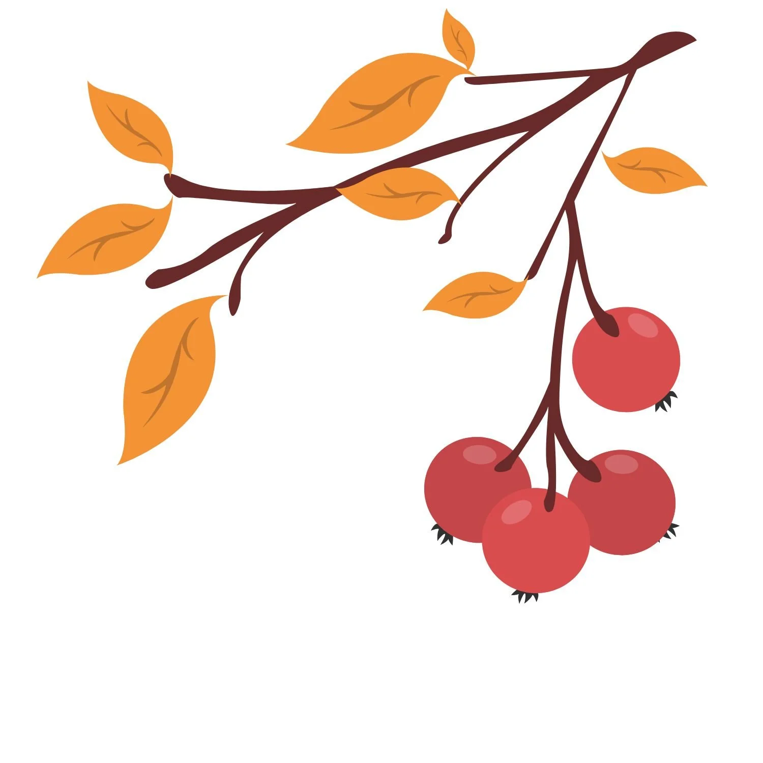 Illustration of a branch with orange leaves and red berries.
