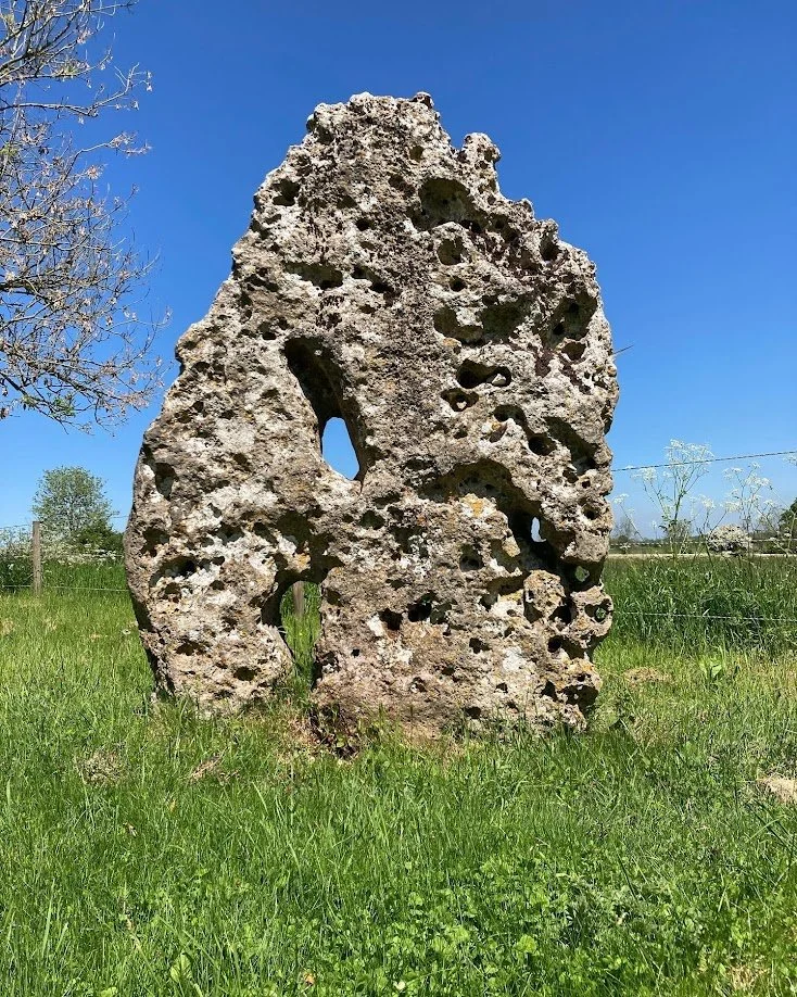 Large, weathered limestone rock with numerous holes and crevices in a grassy field with a clear blue sky in the background.