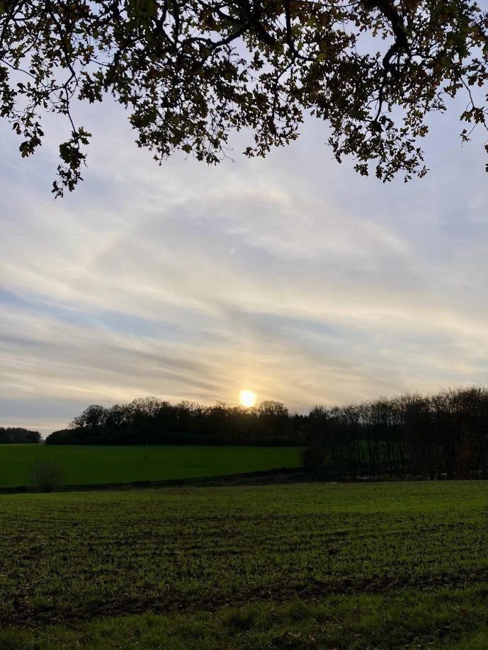 Sunset over a flat, grassy landscape with trees and a cloudy sky.