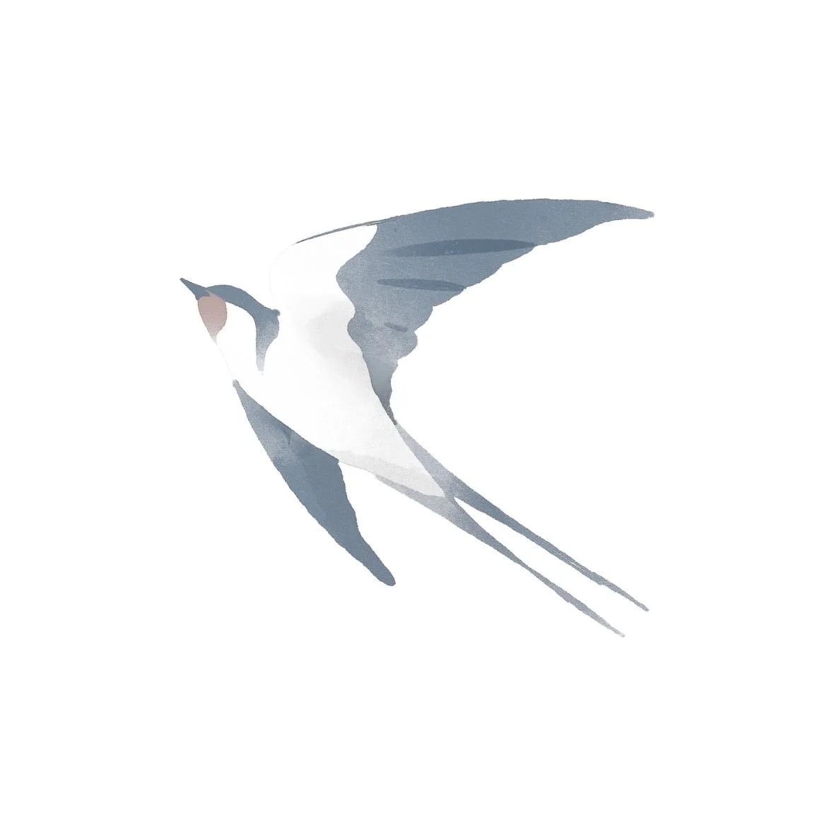 Watercolor illustration of a bird in flight with outstretched wings, primarily in shades of gray and white.