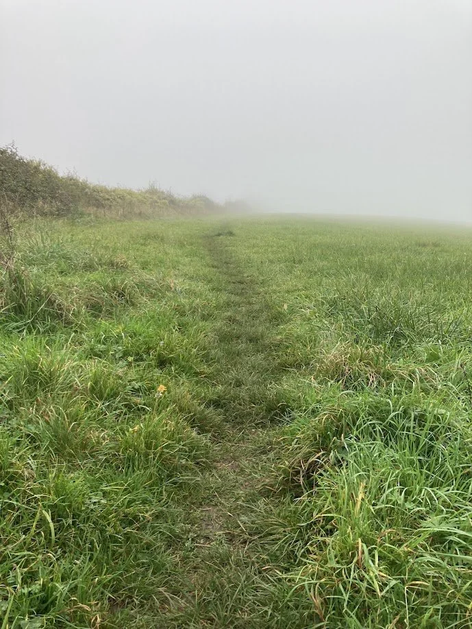 A narrow dirt trail cutting through a grassy field on a foggy day.